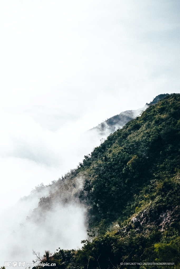 山