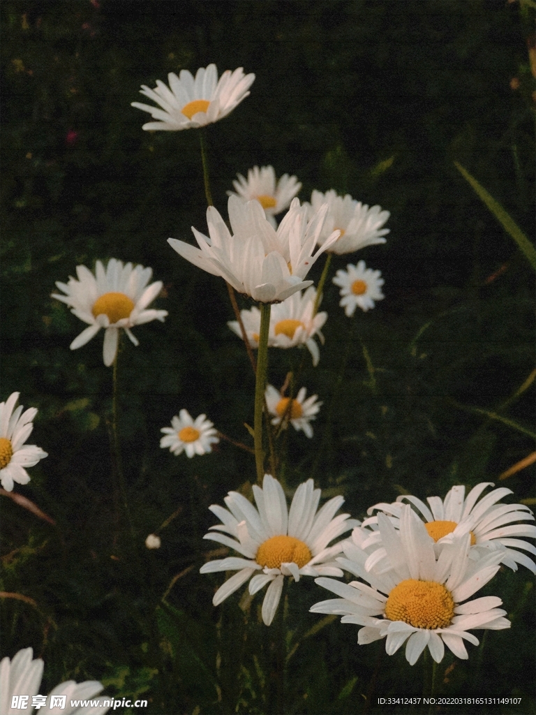 花