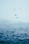 大海