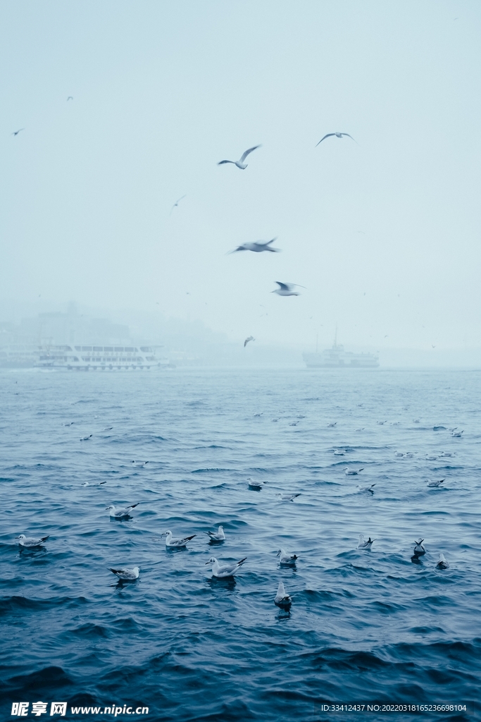 大海