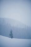 雪地