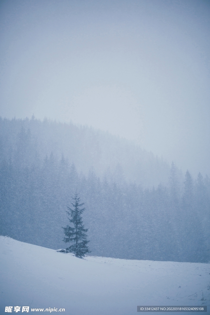 雪地