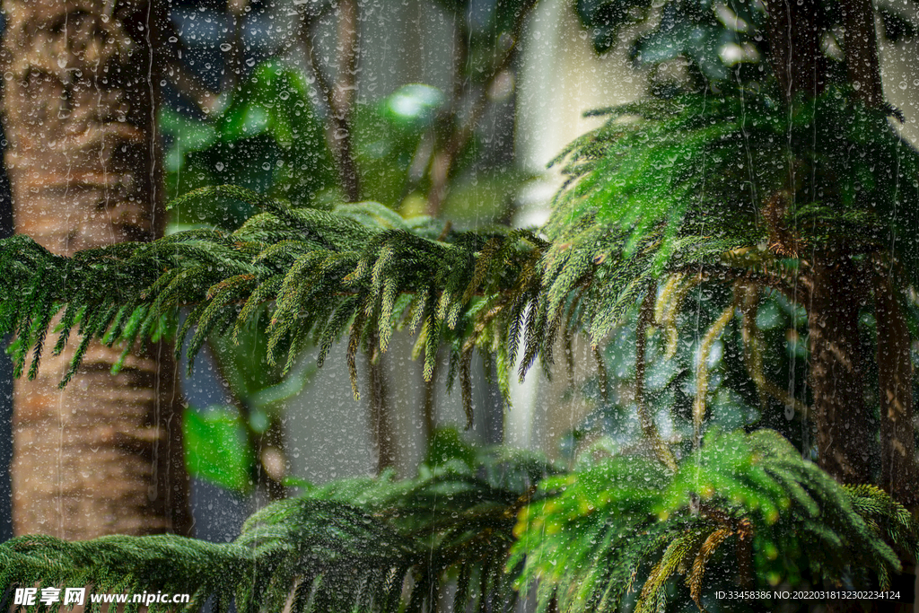 谷雨春分