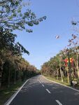 公园路上