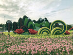 美丽城市建设 花丛
