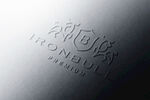 logo样机