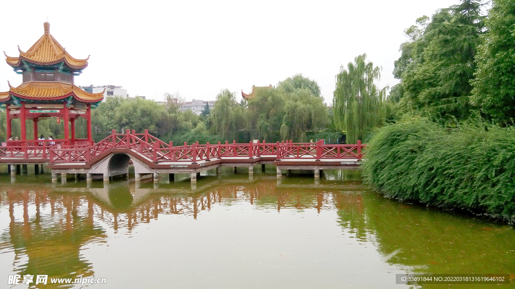 碧浪湖的风景