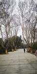 南京浦口公园