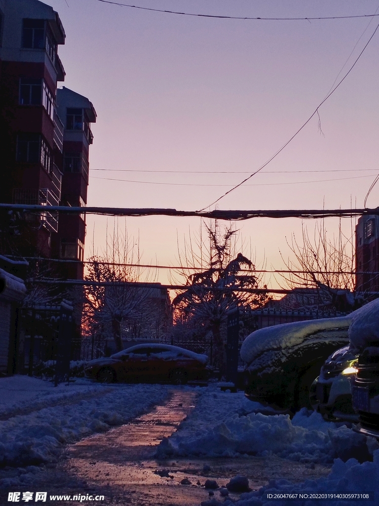 清晨雪景