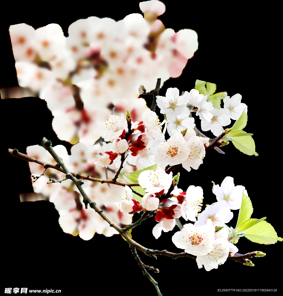 花