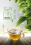 春茶