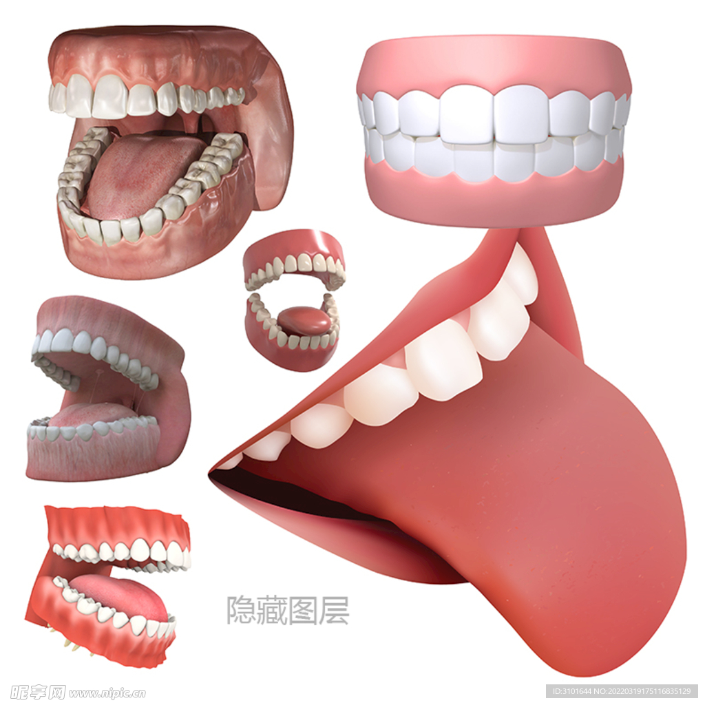 3D口腔牙齿