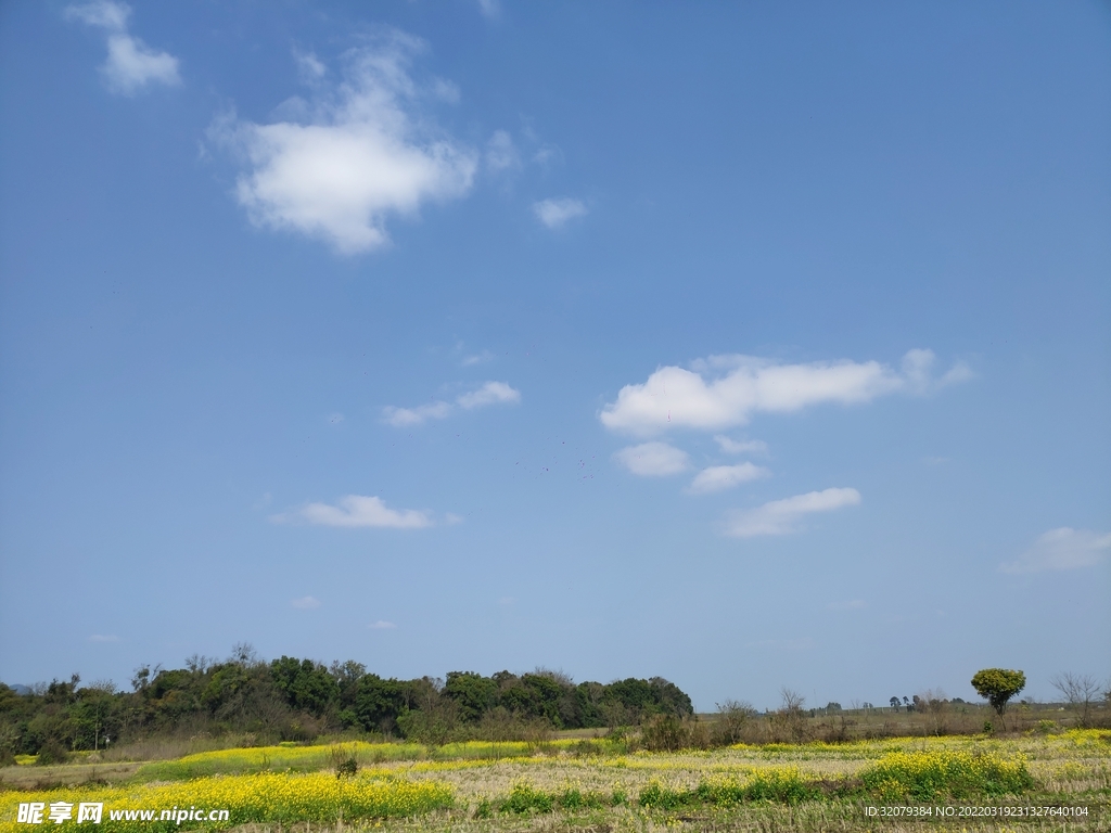 在田野上