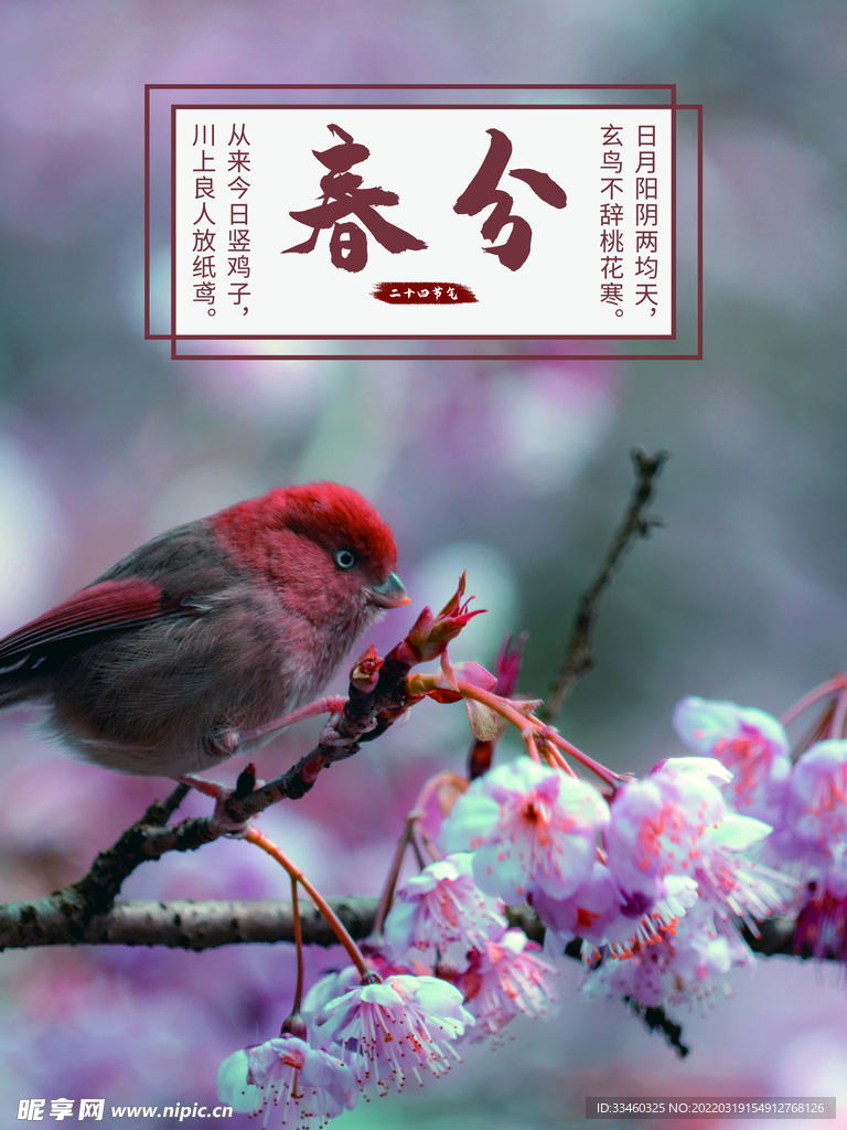 春分