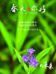 春天你好