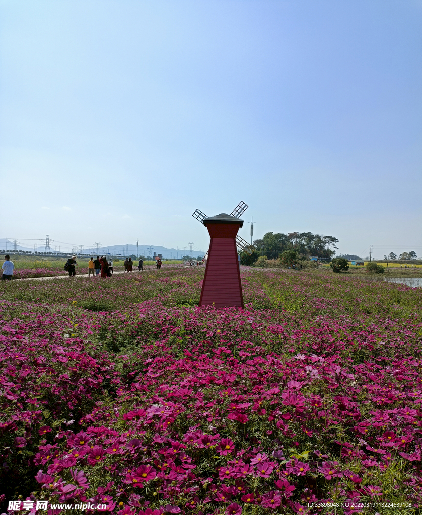 花海