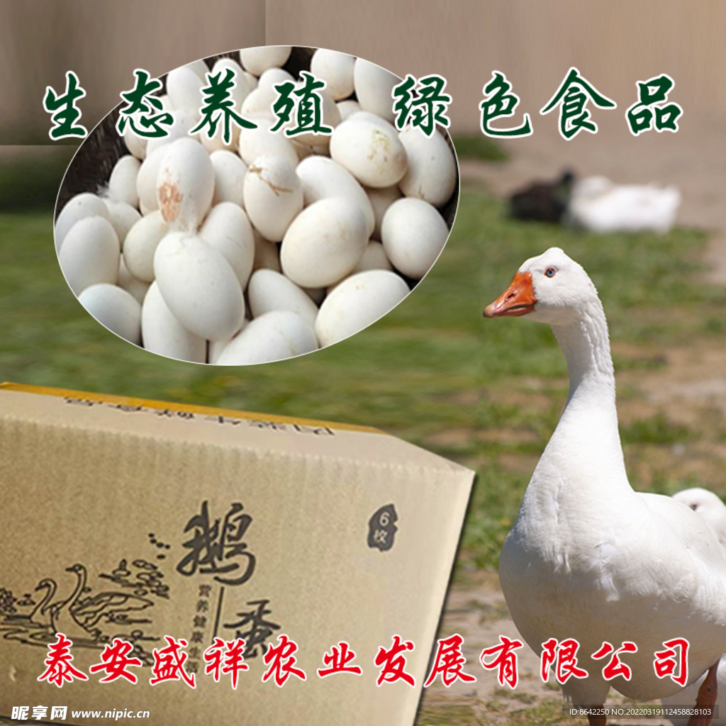 鹅蛋