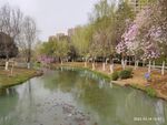 湖水
