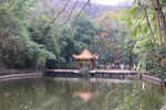 湖水