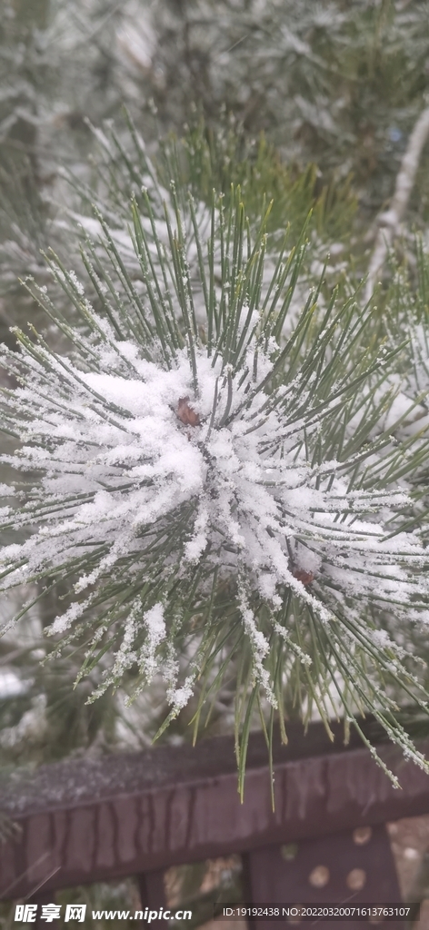 雪景 