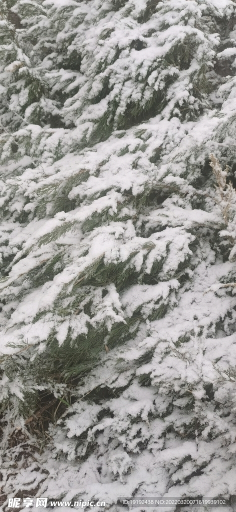 雪景 