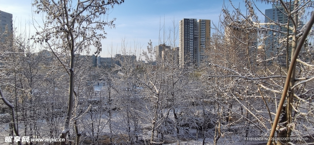 园林风景