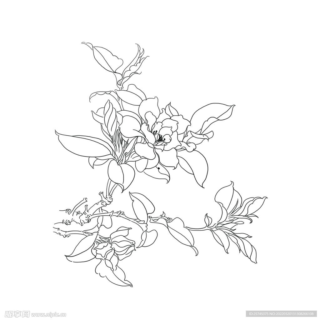 手绘花