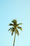 展架背景 