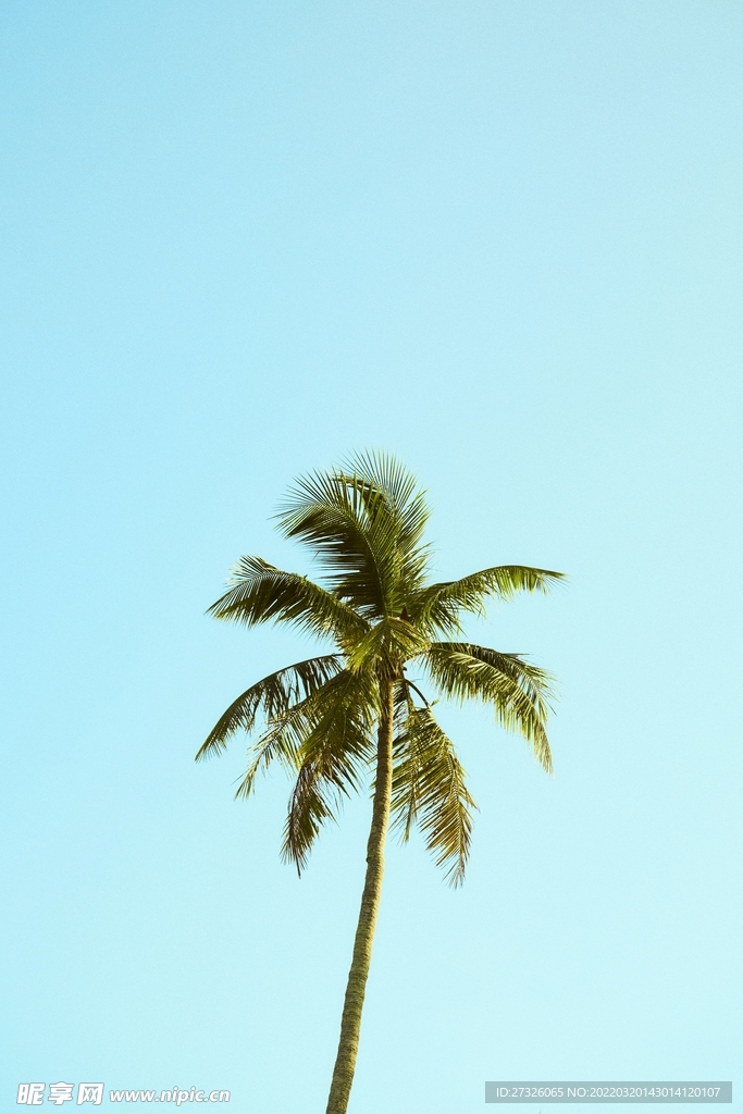 展架背景 