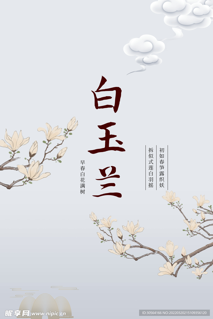 白玉兰赏花活动