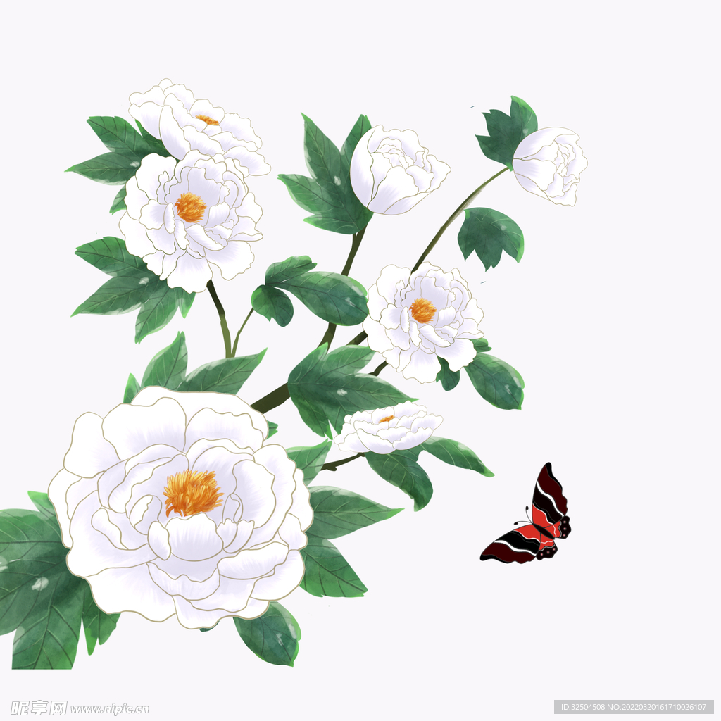水彩花朵花卉