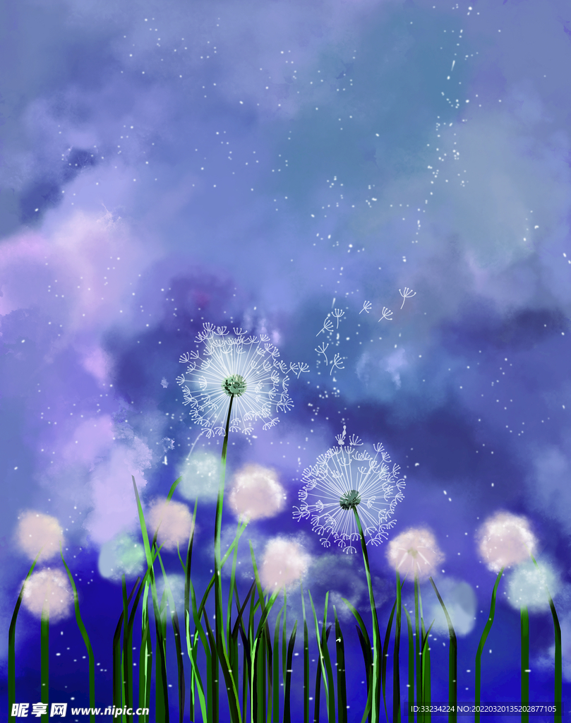 蒲公英
