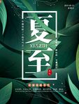 夏至