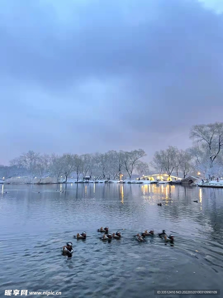 春雪玉渊潭