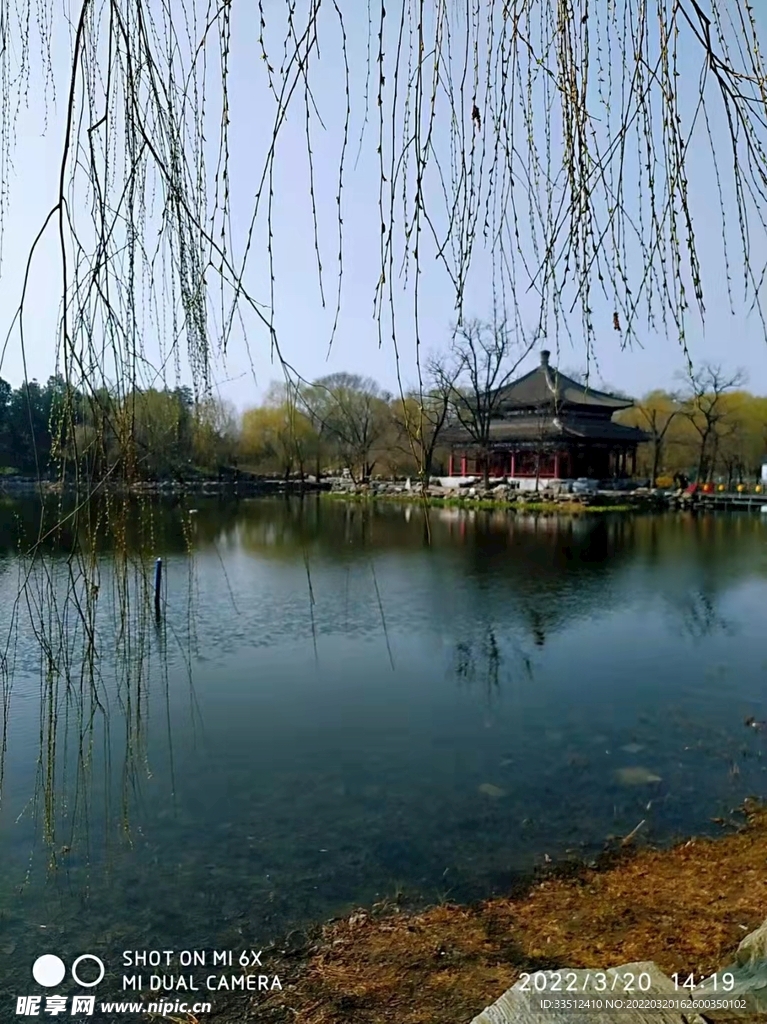 春天的北京公园