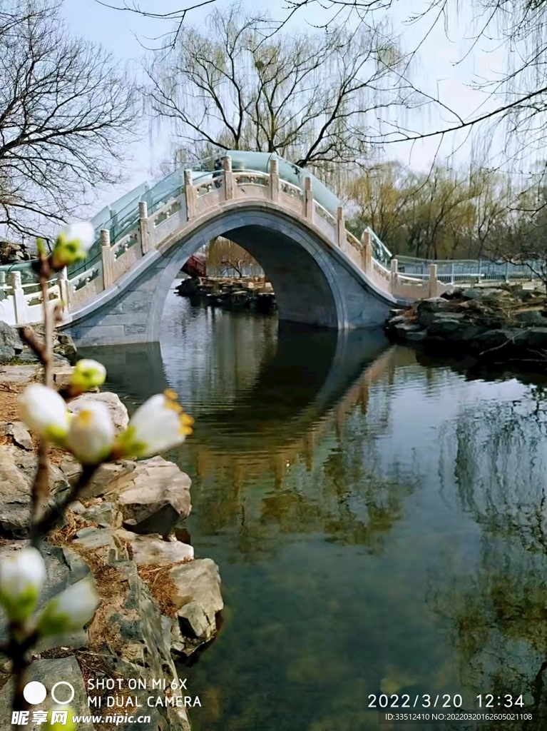 春天的北京公园