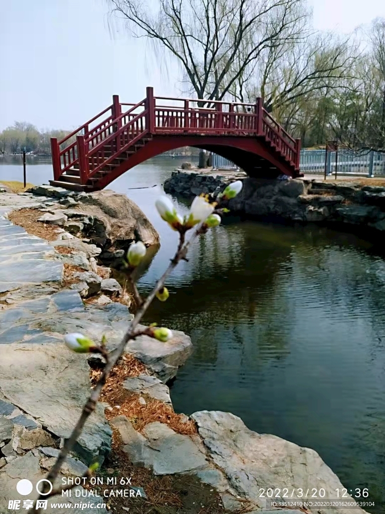 春天的北京公园