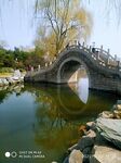 春天的北京公园