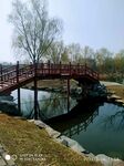 春天的北京公园