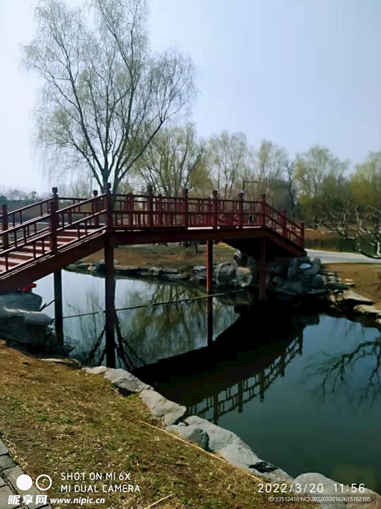 春天的北京公园