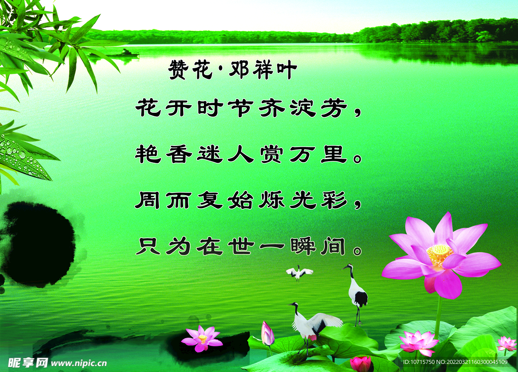 诗词