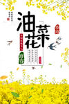 油菜花旅游