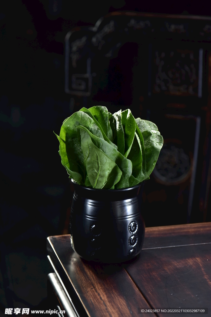菠菜