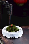 野生马尾藻
