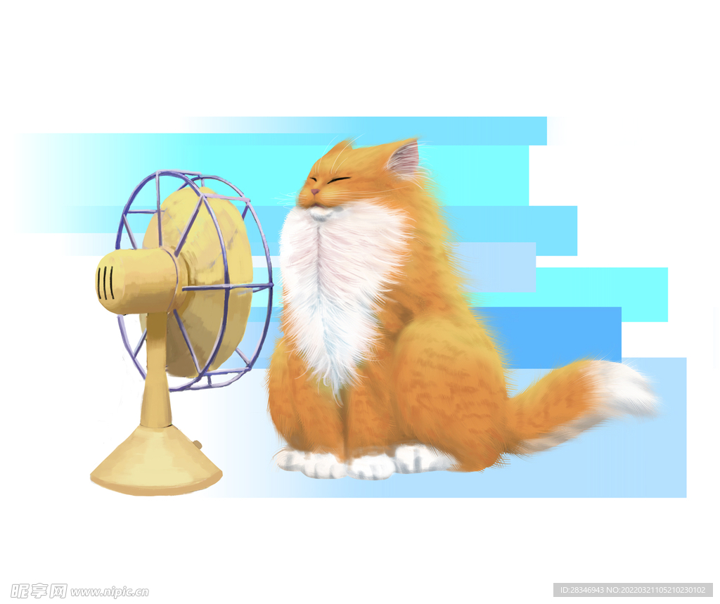 吹风猫