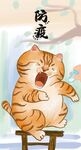 萌主猫            