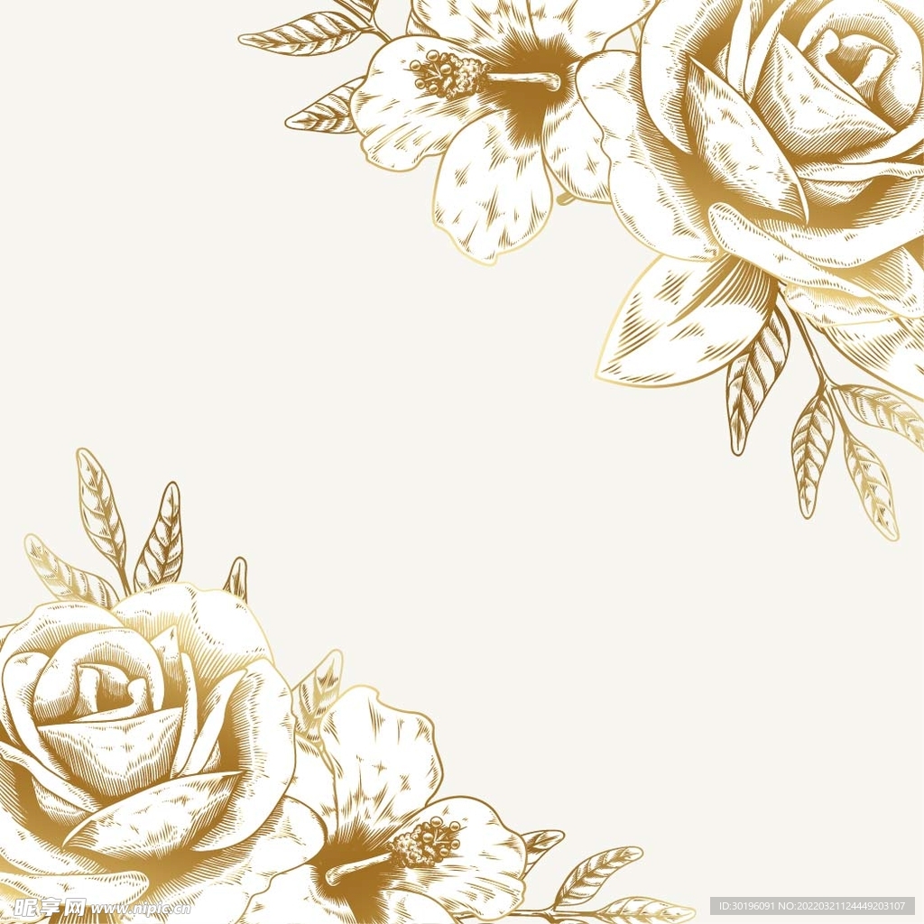 玫瑰花素材