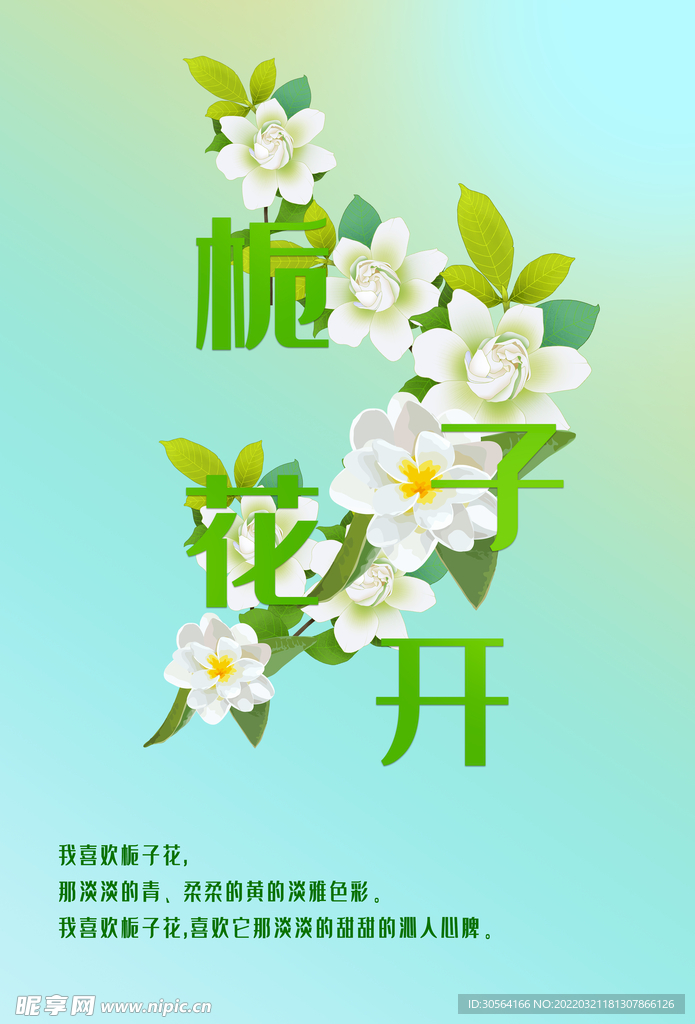 栀子花开