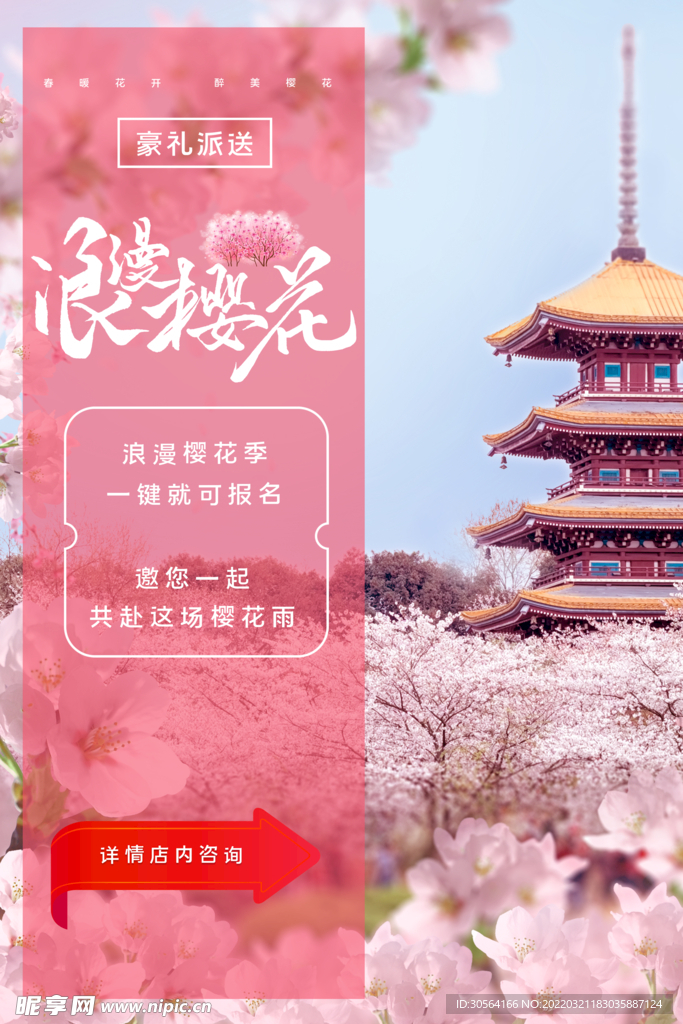 樱花季