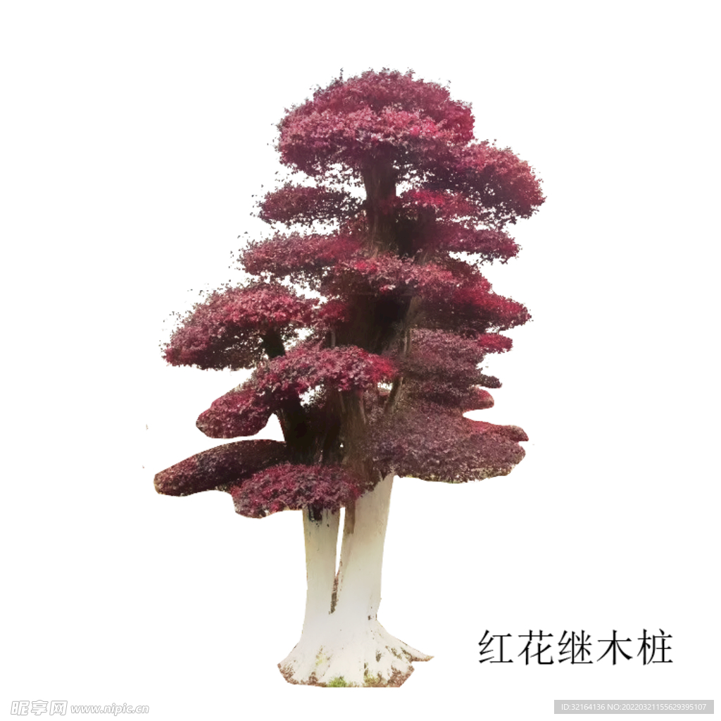 红花继木桩psd